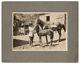 1920s African American Affluence Equestrian Woman With Horses Photo