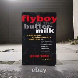 Flyboy In The Buttermilk Essays On Contemporary America by Greg Tate (paperback)