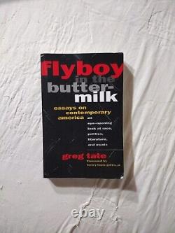 Flyboy In The Buttermilk Essays On Contemporary America by Greg Tate (paperback)