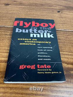 Flyboy in the Buttermilk Essays on Contemporary America Greg Tate Culture