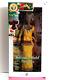 Kwanzaa Barbie Doll, Festivals Of The World (dotw), 2006 Mattel J0945, Nfrb