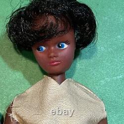 Rare Vintage Barbie Clone Black African-American Couple Amos & Annie NRFP