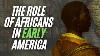 The Role Of Africans In Early America