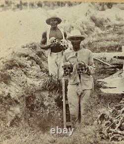 1899 AFRICAIN AMÉRICAIN Hansen & Finger CUBA Os CRÂNES Pile Cabinet Card PHOTO