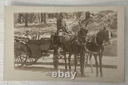 Carte postale RPPC Homme afro-américain conduisant un cheval et une calèche