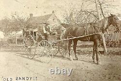 Photo d'un homme afro-américain conduisant une calèche tirée par des chevaux au 19ème siècle sur une carte de visite antique