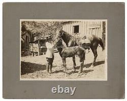 Photo d'une femme équestre afro-américaine fortunée des années 1920 avec des chevaux