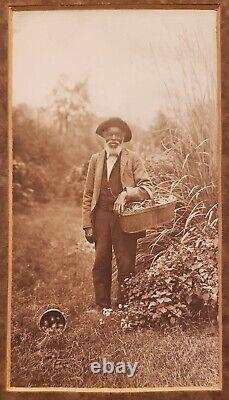 Photographie d'art fine d'un ancien jardin de haricots verts et de poivrons afro-américains, vieil homme