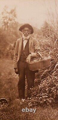 Photographie d'art fine d'un ancien jardin de haricots verts et de poivrons afro-américains, vieil homme