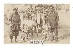 Plantation d'oranges de Floride des années 1900 Histoire sociale du travail des Africains-Américains Photos (8)