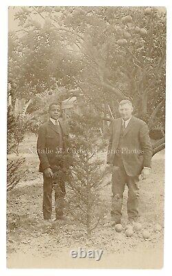 Plantation d'oranges de Floride des années 1900 Histoire sociale du travail des Africains-Américains Photos (8)